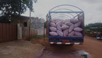 Genossenschaft Allada: Anlieferung von mehreren Tonnen Sojabohnen f&uuml;r die Verarbeitung